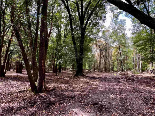 Lot#2 Glory Road, Quincy, FL 32352