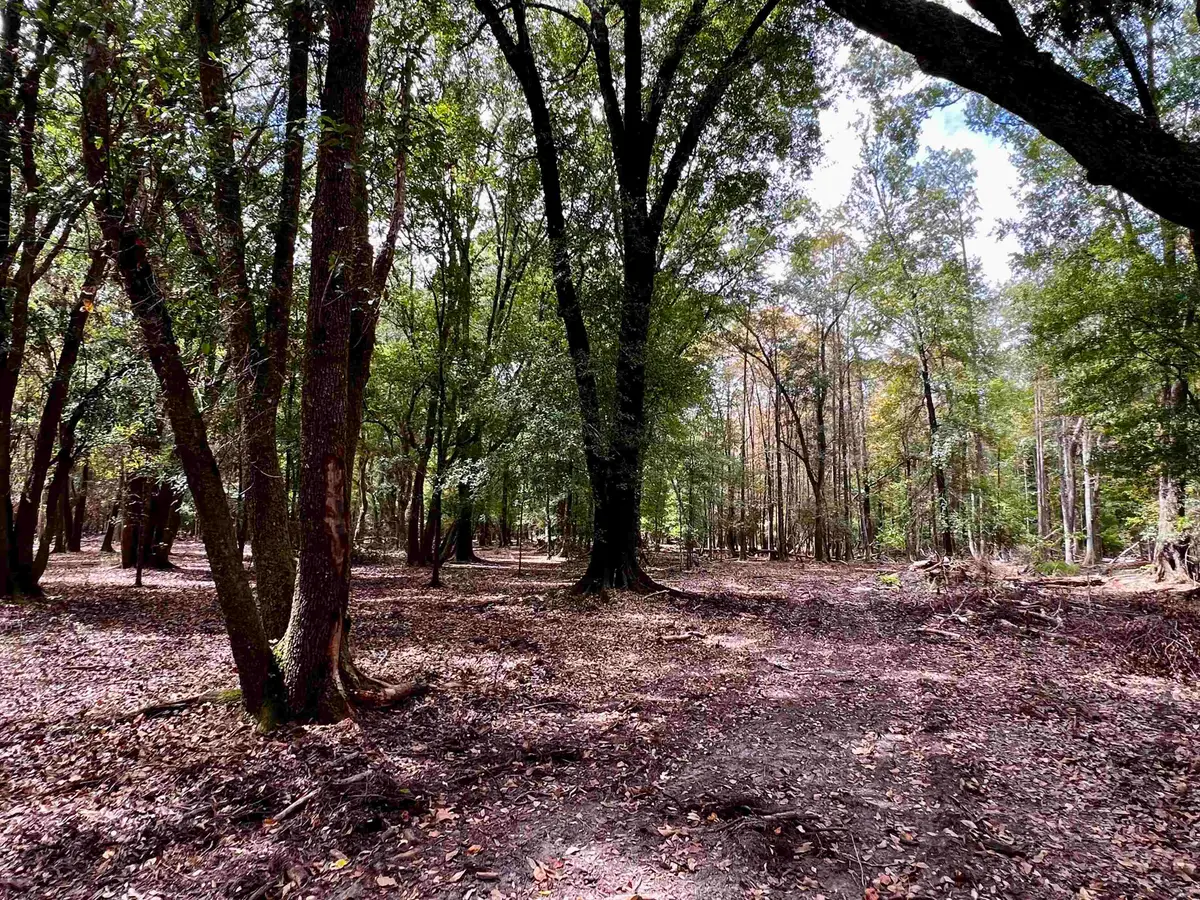 Lot#4 Glory Road, Quincy, FL 32352 - #1