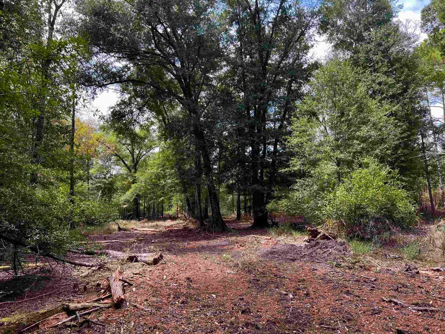 Lot#4 Glory Road, Quincy, FL 32352 - #2