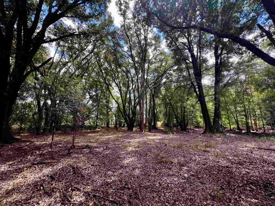 Lot#4 Glory Road, Quincy, FL 32352 - #3