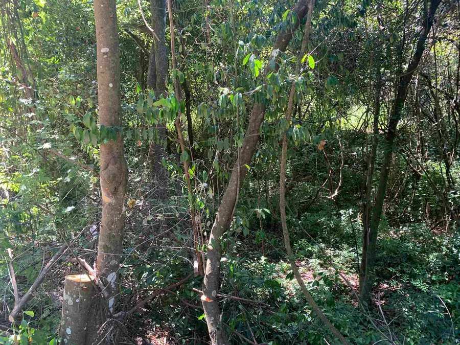 0 Buck Lake Road, Tallahassee, FL 32317 - #2