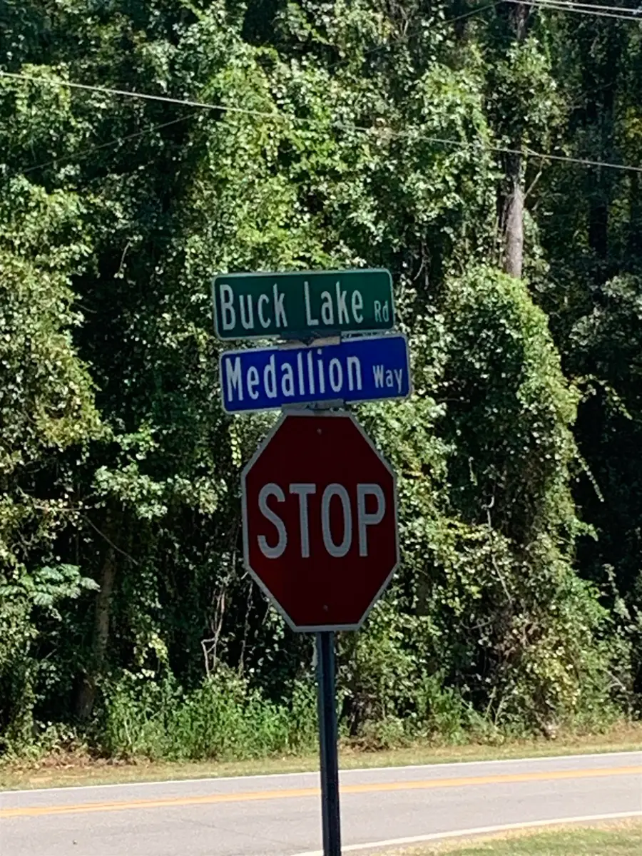 0 Buck Lake Road, Tallahassee, FL 32317 - #3