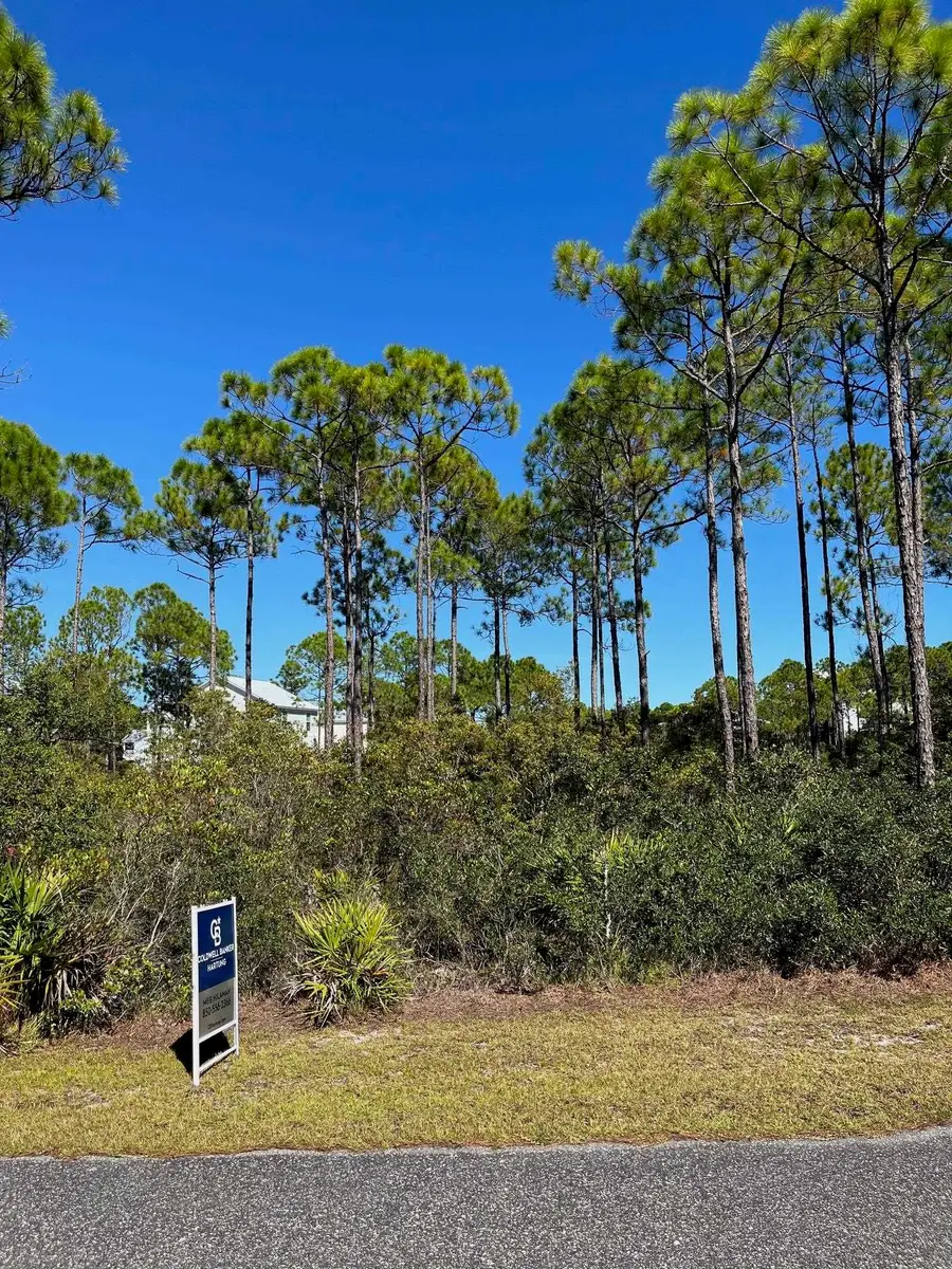 131 Lightning Bug Lane, Saint Teresa, FL 32358 - #2