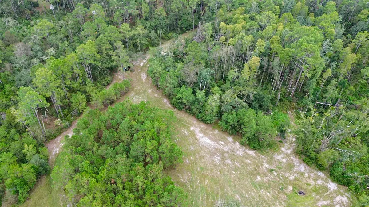 7440 Alton Wentworth Road, Greenville, FL 32331 - #1