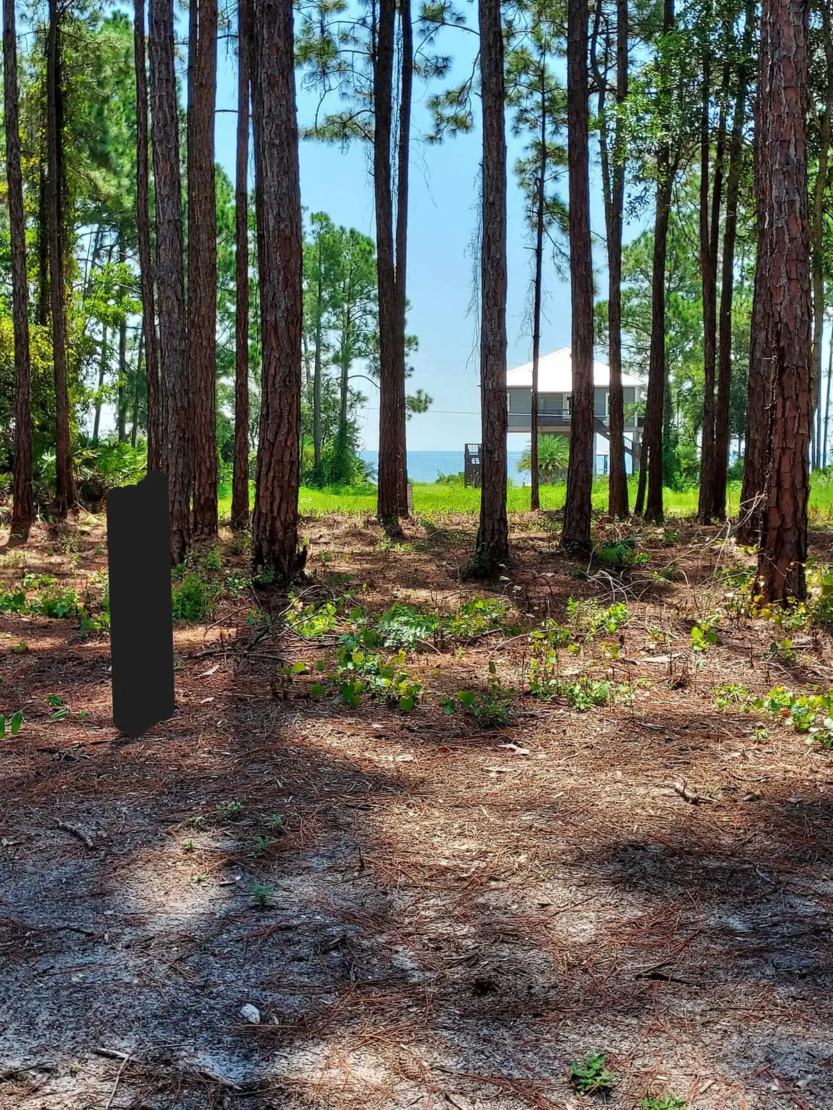 164 Royal Tern Way, Carrabelle, FL 32322 - #1