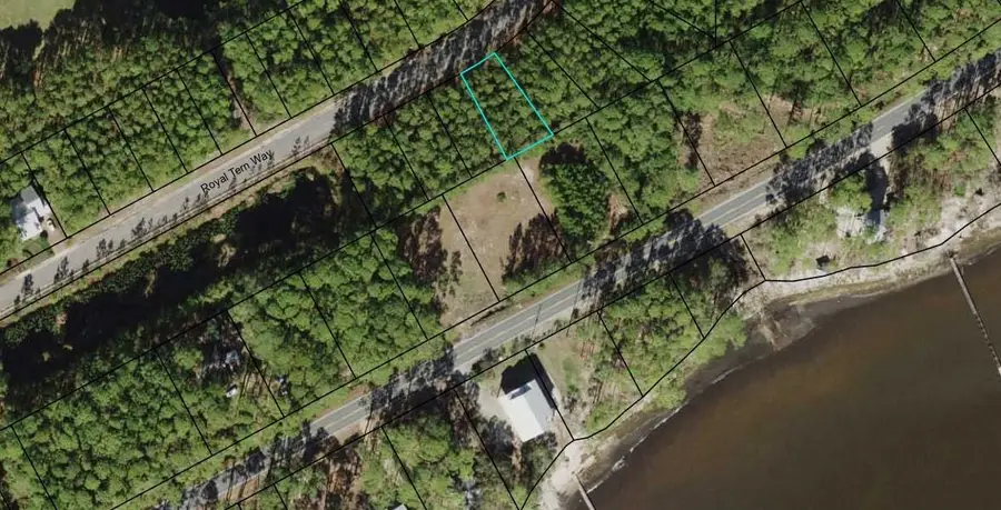 164 Royal Tern Way, Carrabelle, FL 32322 - #3