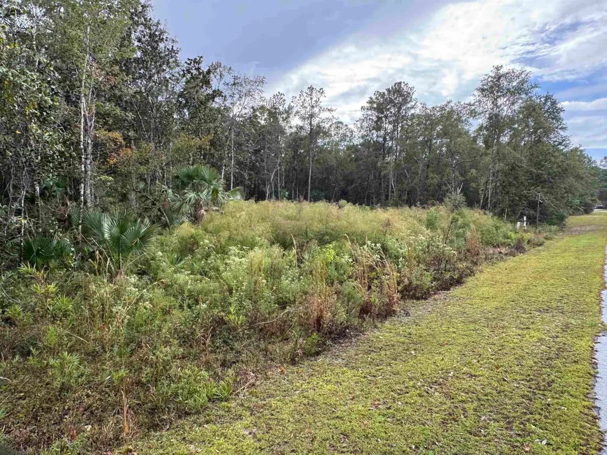 44 Water Oak Way, Saint Marks, FL 32355 - #1