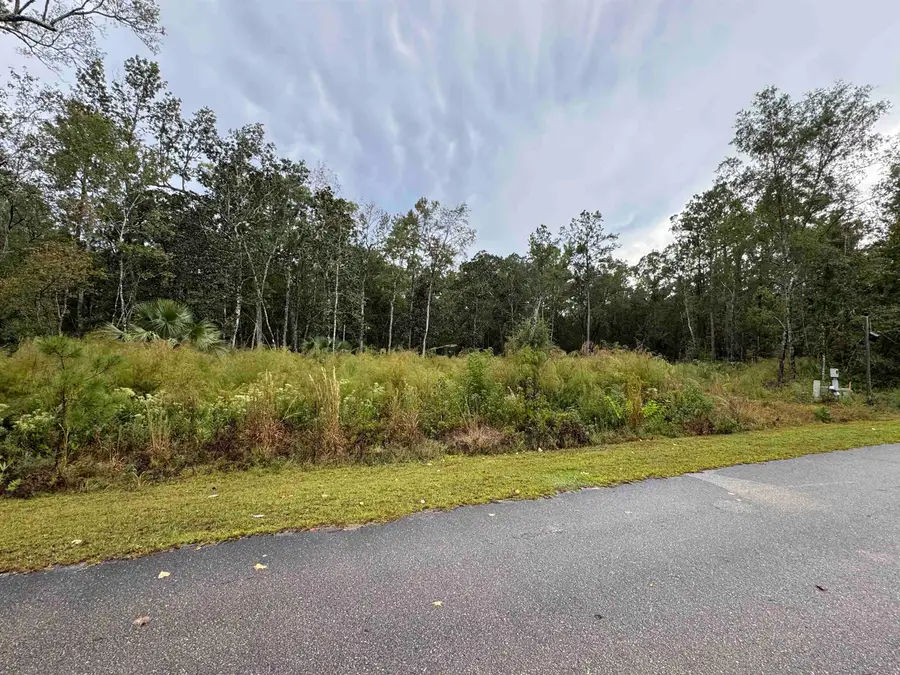 44 Water Oak Way, Saint Marks, FL 32355 - #2