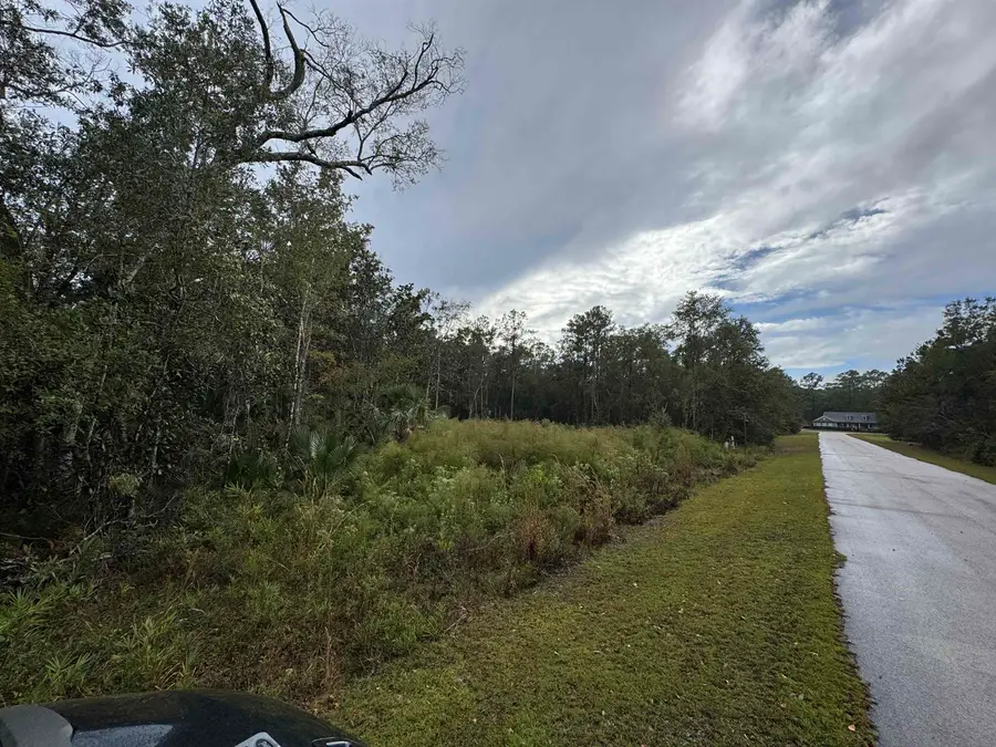 44 Water Oak Way, Saint Marks, FL 32355 - #3