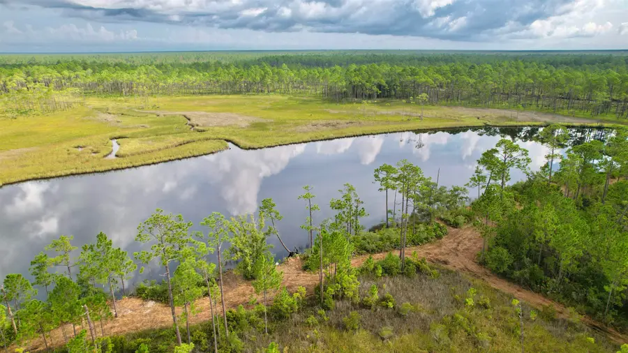 XX Mill Road, Carrabelle, FL 32322 - #3