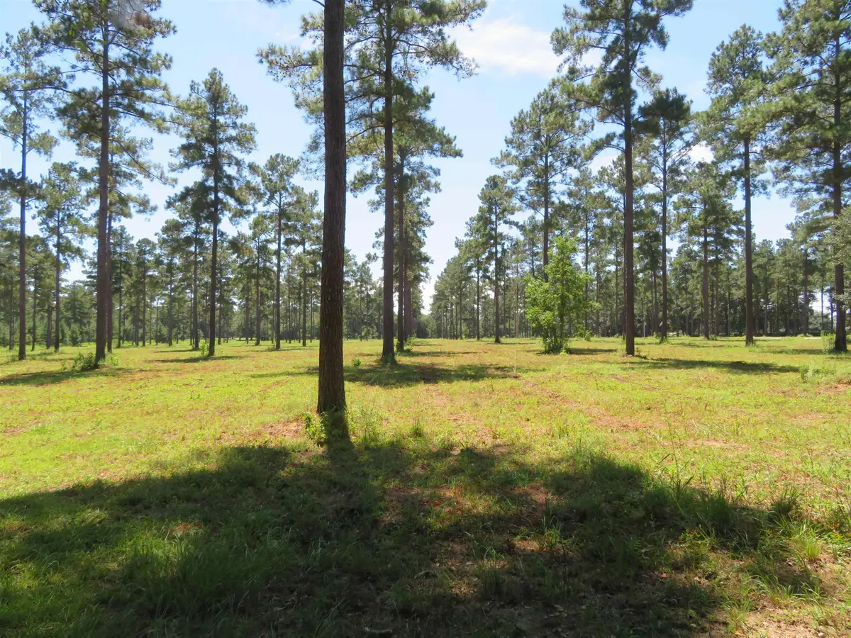 xxxx Lot 2 Solomon Dairy Road, Quincy, FL 32351 - #1