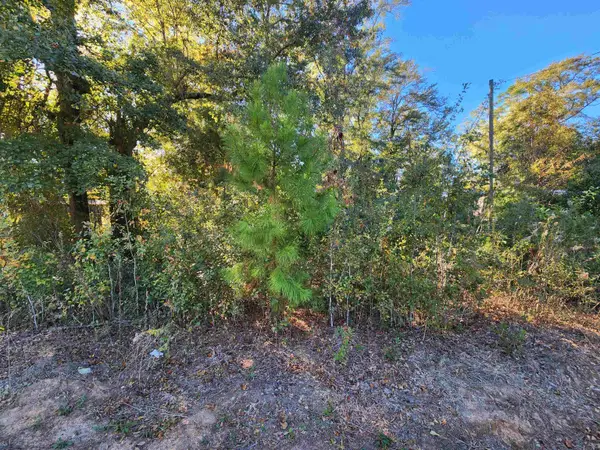 xxx Deer Street, Bristol, FL 32321