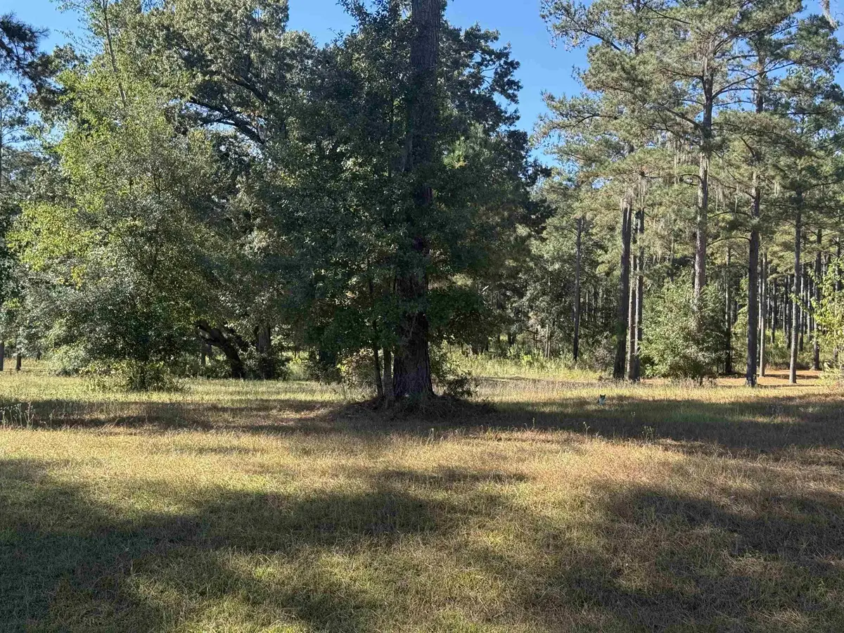 Lot 8A Lake Pisgah Drive, Tallahassee, FL 32309 - #1