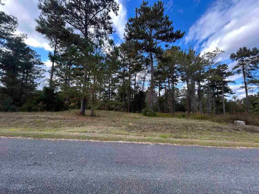 165 Stillwater Lane, Havana, FL 32333 - #3