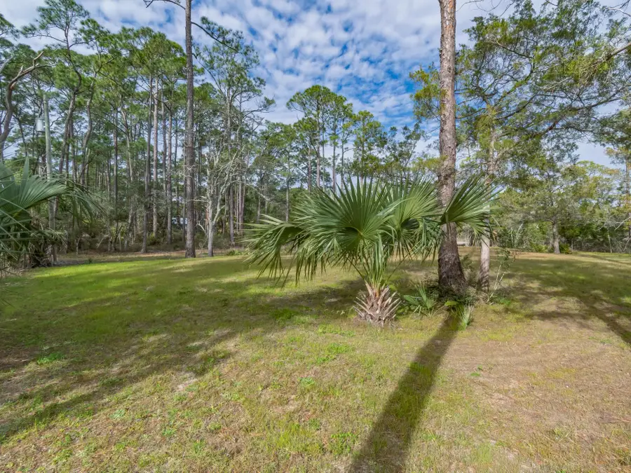 xx Satilla Avenue, Panacea, FL 32346 - #2