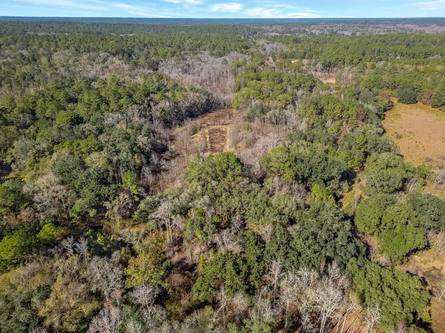 XX Gardners Farm Road, Tallahassee, FL 32312 - #2