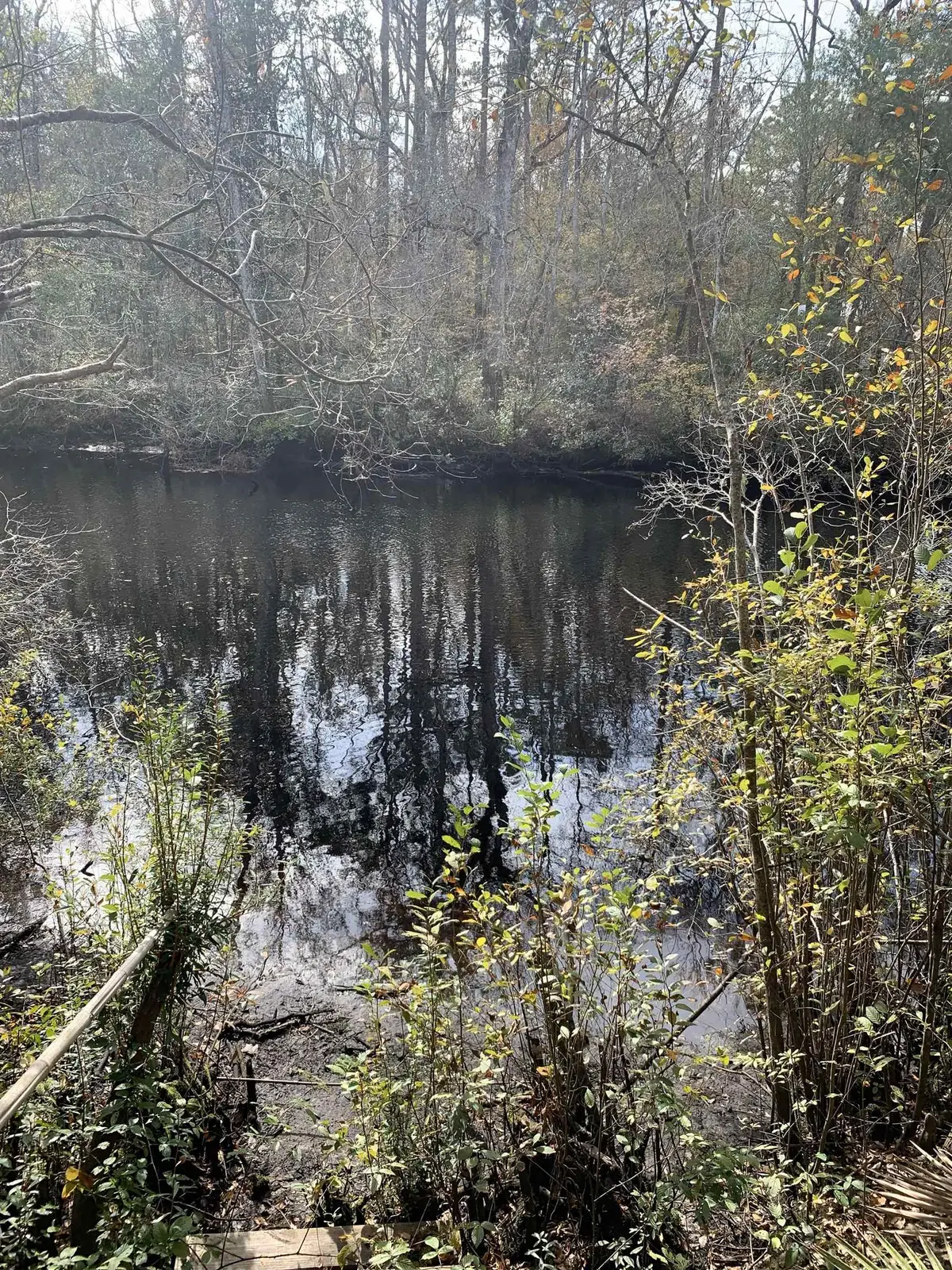 Lot 4 & 5 Seminole Lane, Sopchoppy, FL 32358 - #1