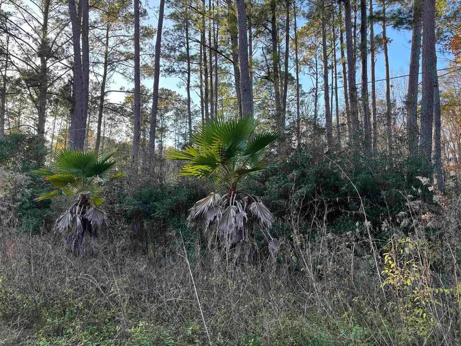 XXX Box Wood Court, Tallahassee, FL 32303 - #2