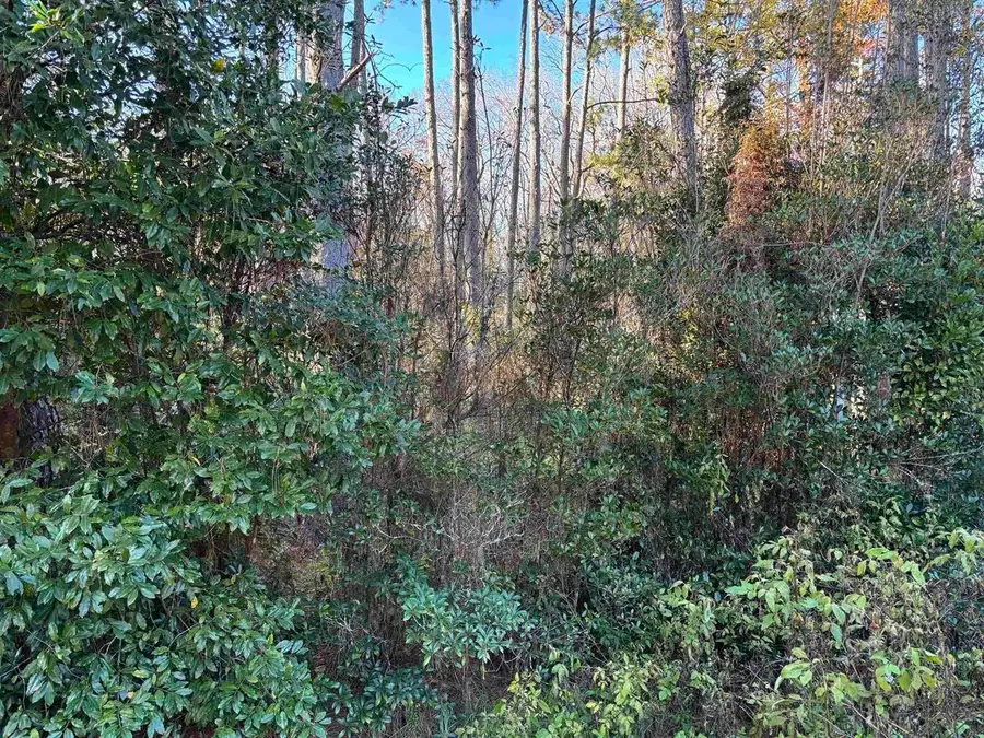 XXX Box Wood Court, Tallahassee, FL 32303 - #3