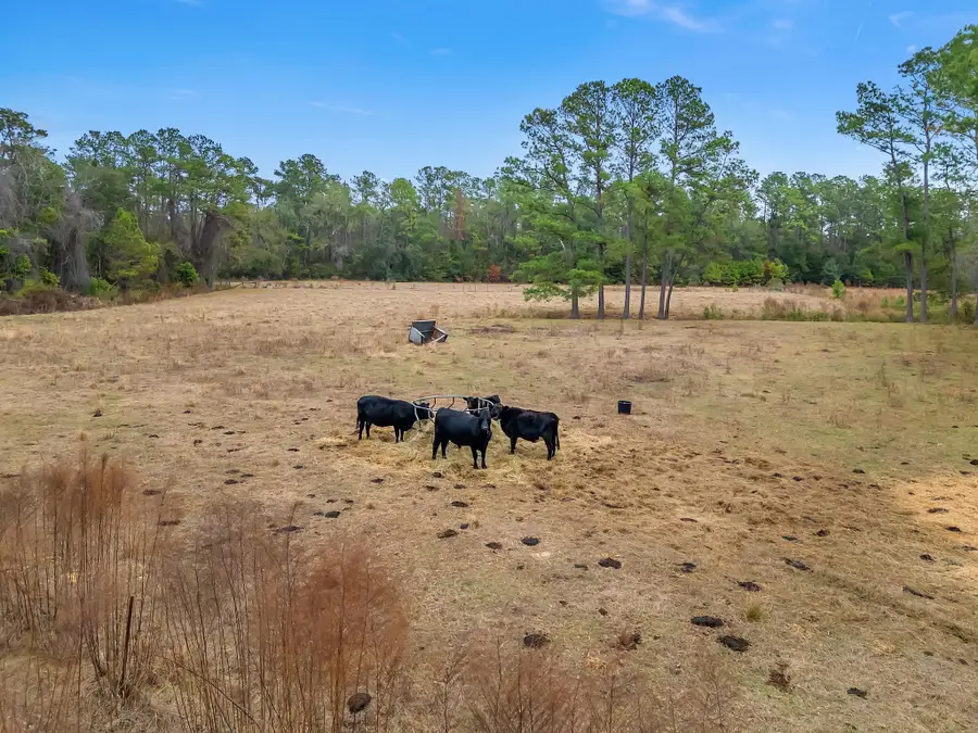 701 N Barber Hill, Lamont, FL 32336 - #3