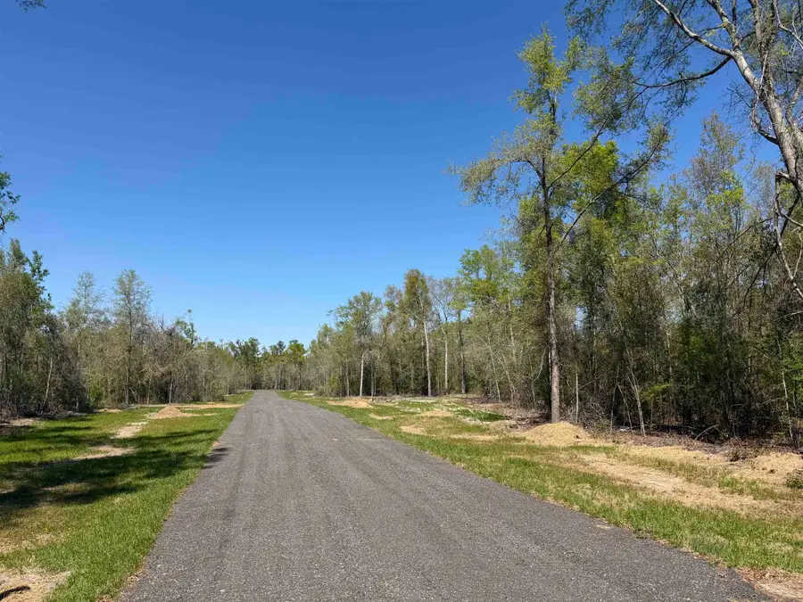 Parcel 1 E Us 90 Highway, Lee, FL 32059 - #2