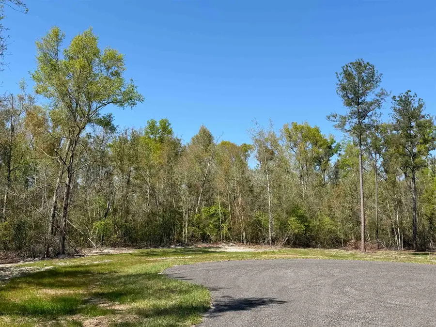 Parcel 2 E Us 90 Highway, Lee, FL 32059 - #2