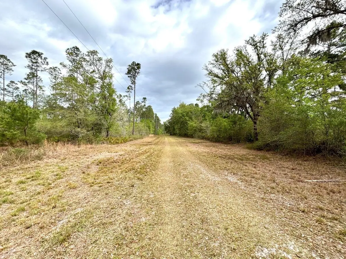 Vacant SW Ontario Road, Greenville, FL 32331 - #1