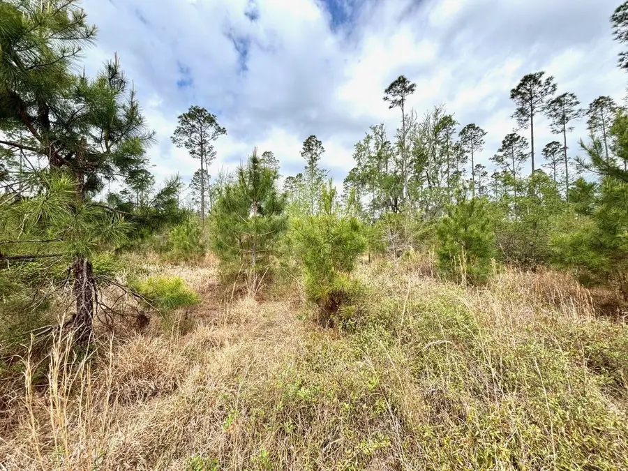 Vacant SW Ontario Road, Greenville, FL 32331 - #2