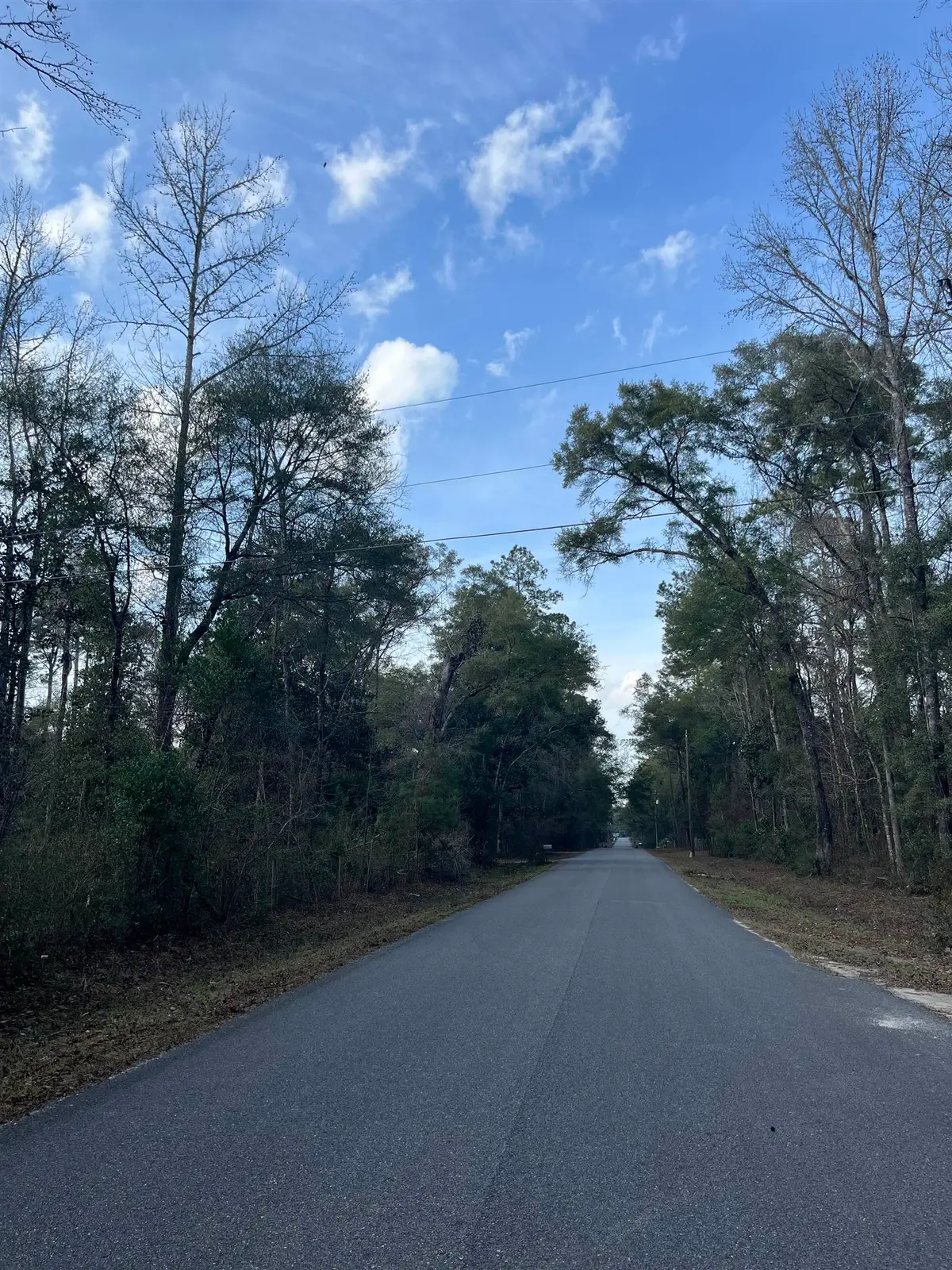 xx White Oak Drive, Crawfordville, FL 32327 - #1