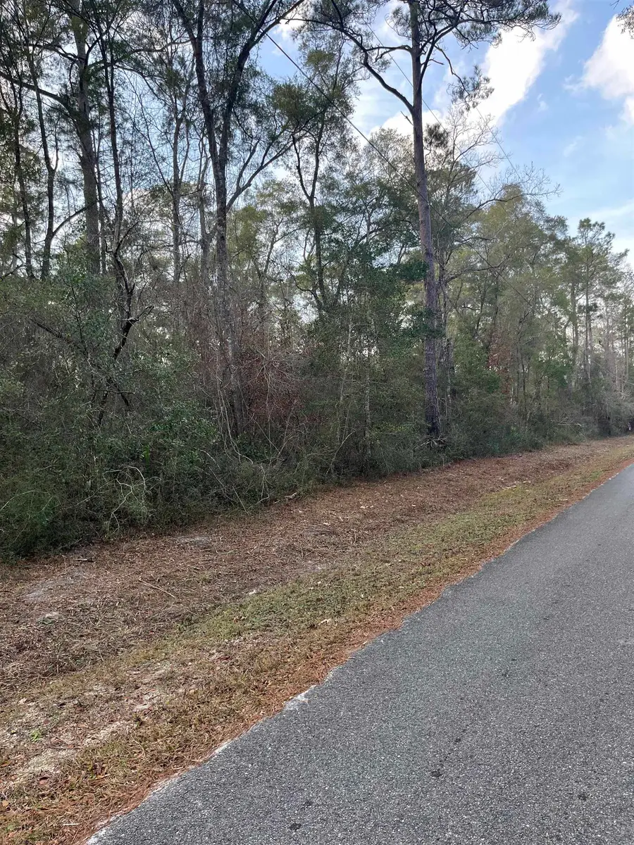 xx White Oak Drive, Crawfordville, FL 32327 - #2