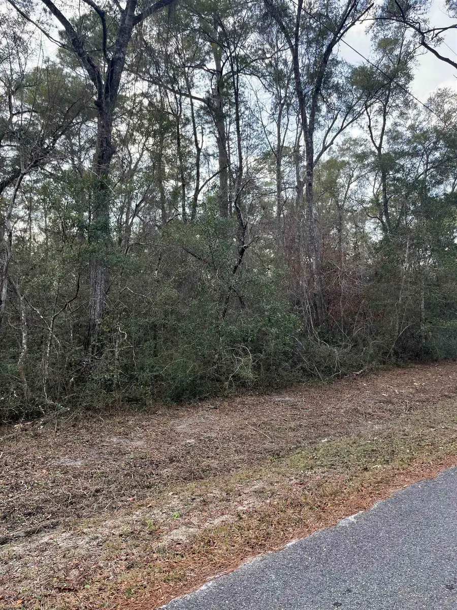 xx White Oak Drive, Crawfordville, FL 32327 - #3