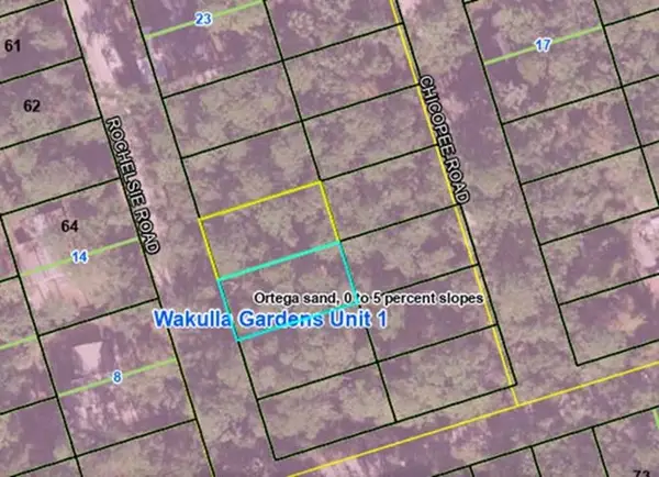 Lot 4 Rochelsie Road, Crawfordville, FL 32327