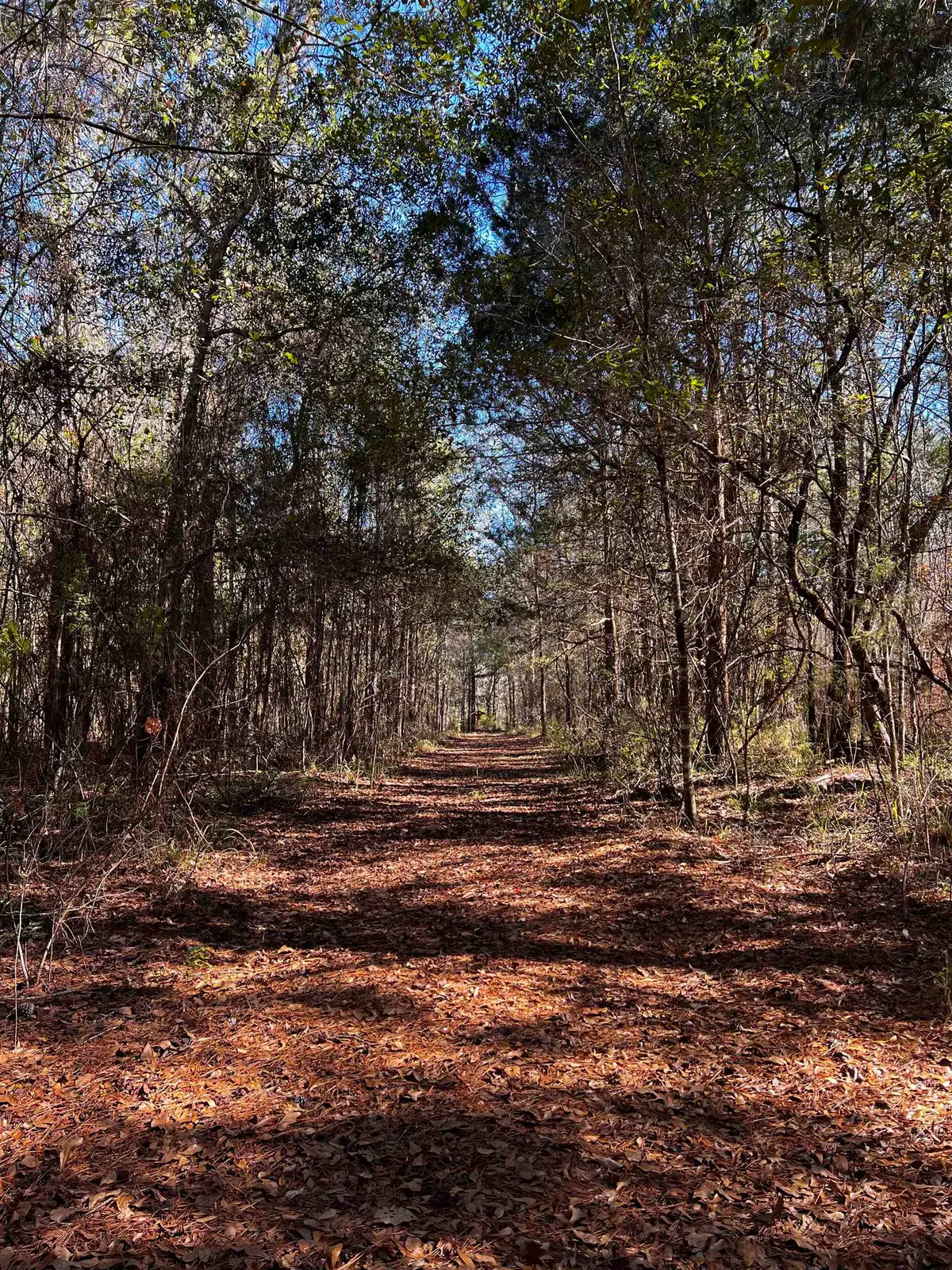 X Hosford Highway, Quincy, FL 32351 - #1