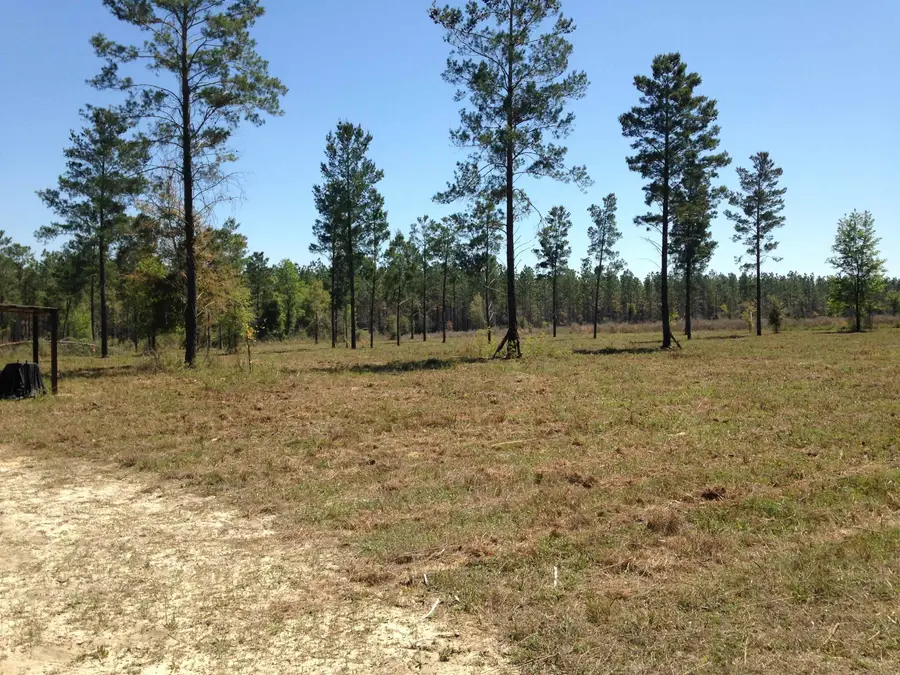 Vacant NE Mango Avenue, Lee, FL 32059 - #2
