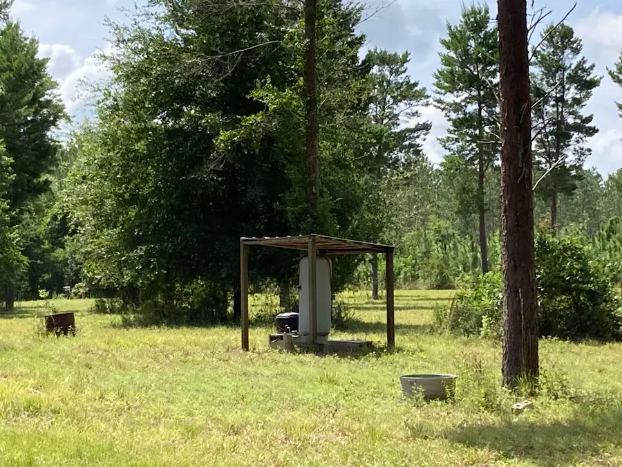Vacant NE Mango Avenue, Lee, FL 32059 - #3