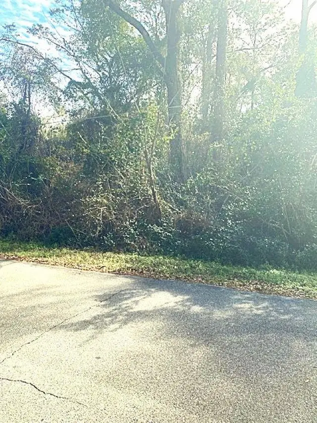 0 Barwick Drive #1, Woodville, FL 32305 - #2