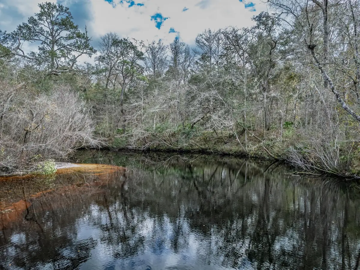 Lot 92 Cheyenne Drive, Sopchoppy, FL 32358 - #1