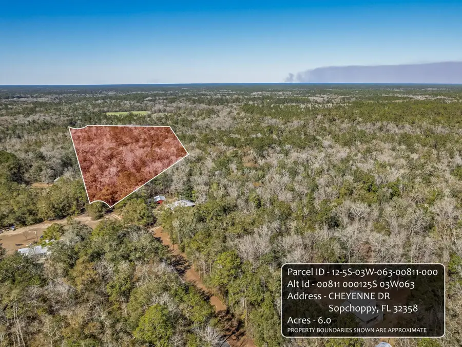 Lot 92 Cheyenne Drive, Sopchoppy, FL 32358 - #2