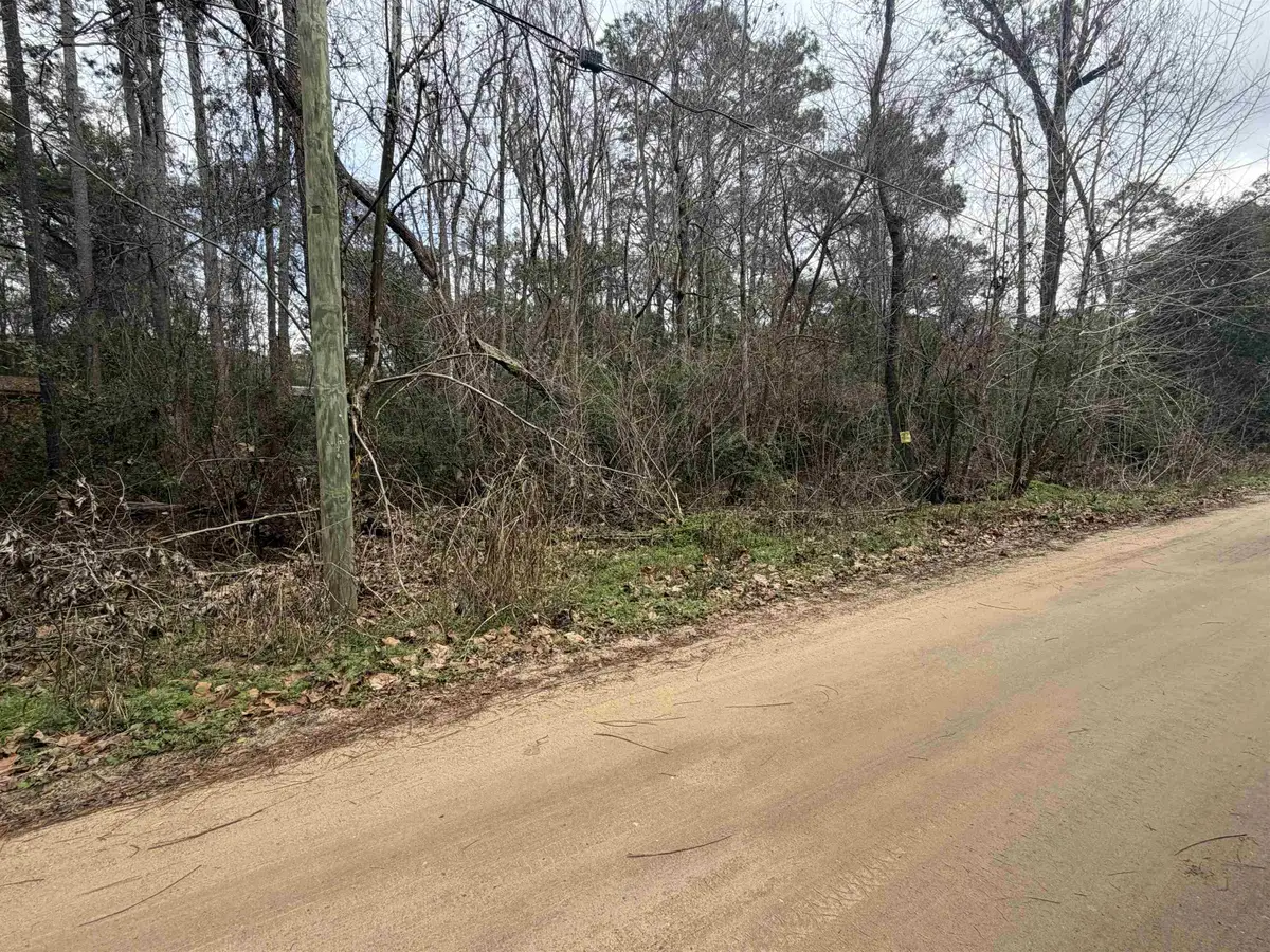 XX Baby Farm Drive, Tallahassee, FL 32310 - #1