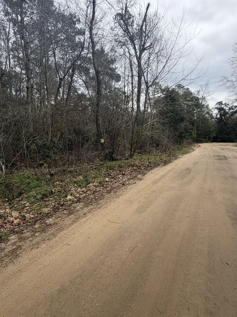 XX Baby Farm Drive, Tallahassee, FL 32310 - #2