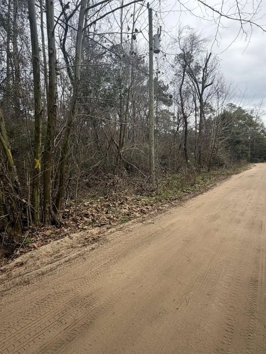 XX Baby Farm Drive, Tallahassee, FL 32310 - #3