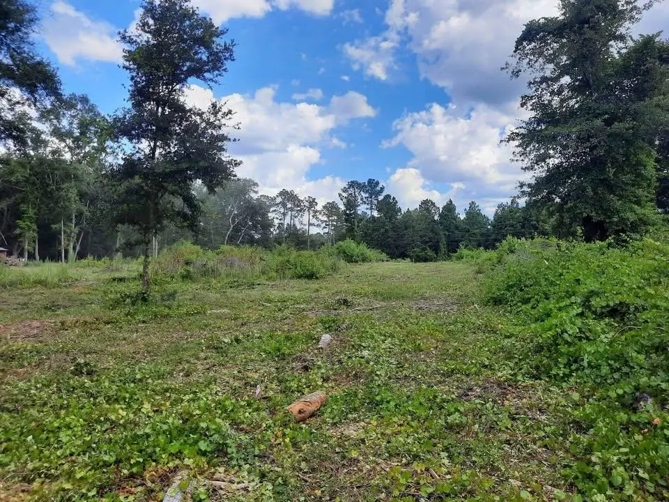 1 W Meadow Road, Monticello, FL 32344 - #1