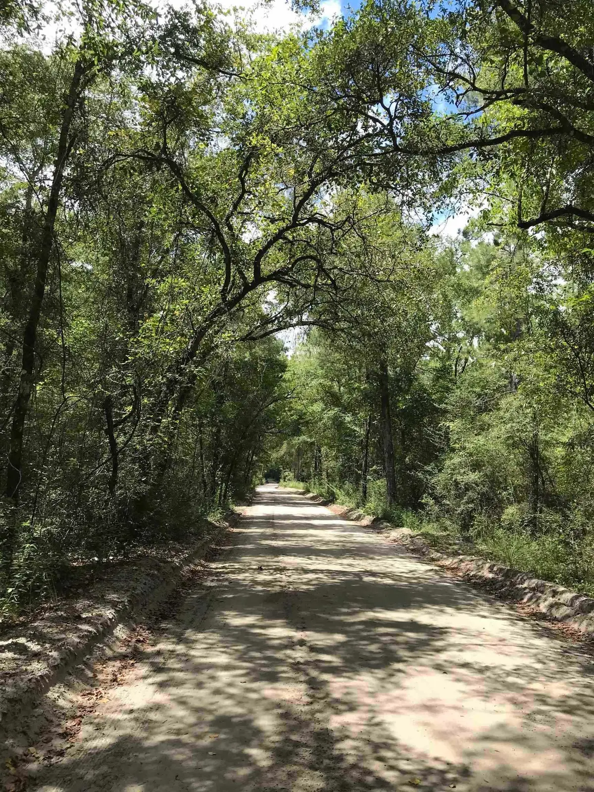 0 Andrew Spears Road, Crawfordville, FL 32327 - #1