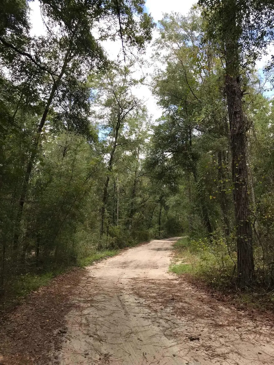 0 Andrew Spears Road, Crawfordville, FL 32327 - #2