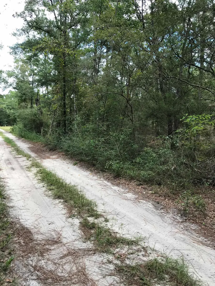 0 Andrew Spears Road, Crawfordville, FL 32327 - #3
