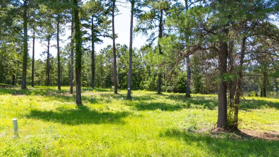 205 Stillwater Lane, Havana, FL 32333 - #3