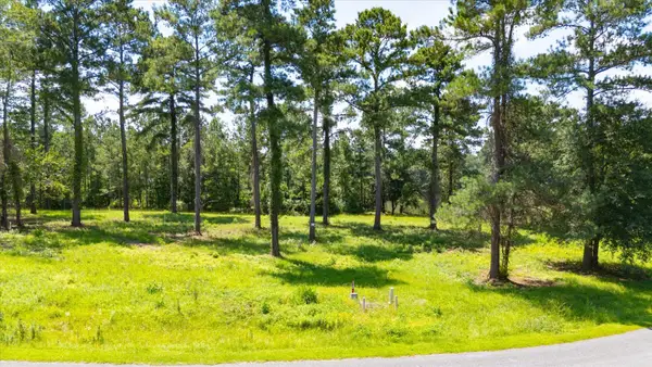 185 Stillwater Lane, Havana, FL 32333