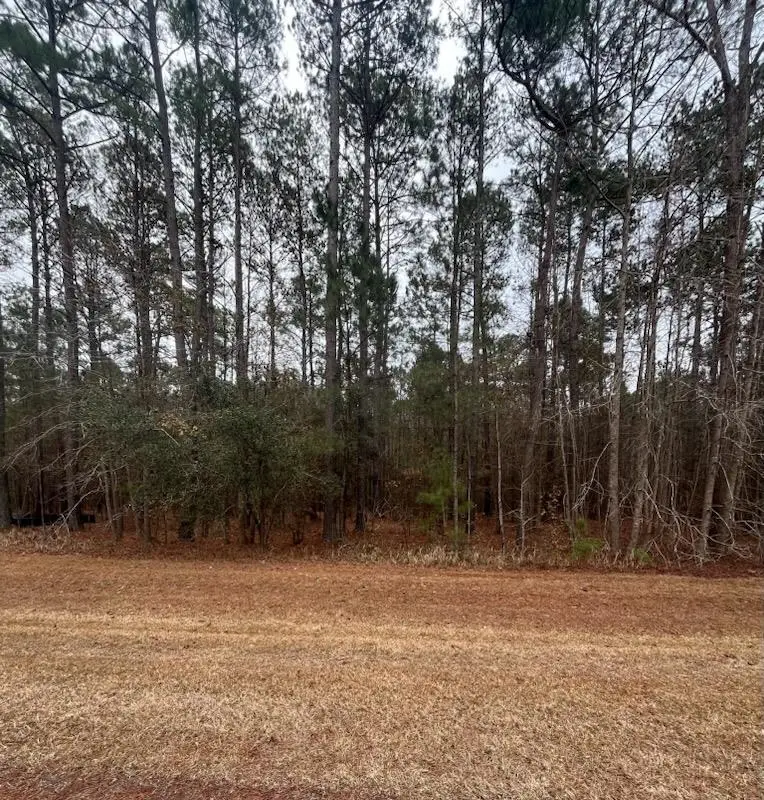 Lot 80 Banning Way Road, Tallahassee, FL 32309 - #2