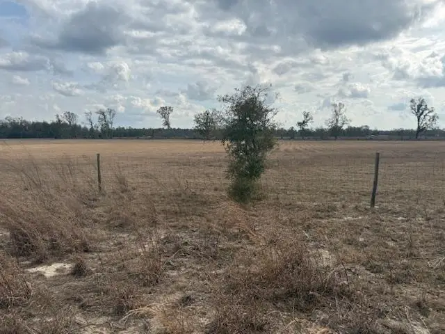SW CR 751 Road, Jasper, FL 32052 - #2