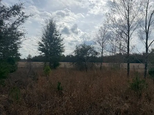 SW CR 751 Road, Jasper, FL 32052 - #3